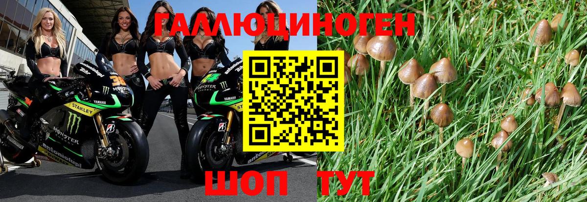 Галлюциногенные грибы мухоморы  Вход с VPN  Губкинский 