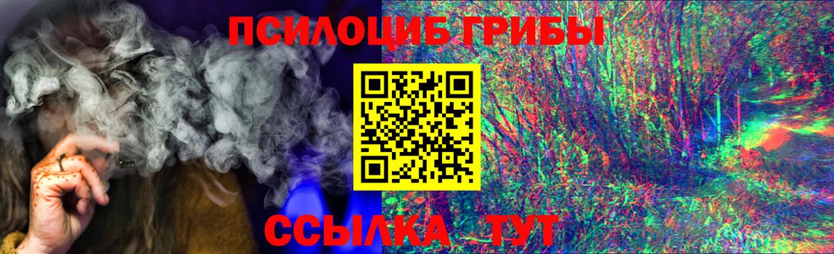 Псилоцибиновые грибы Psilocybe Губкинский